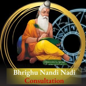 Bhrighu Nandi Nadi Consultation