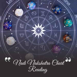 Nadi Nakshatra Chart Reading