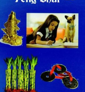 Comprehensive Fengshui Vol 1 & 2