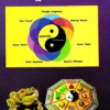 Comprehensive Fengshui Vol 1 & 2 (2)