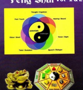 Comprehensive Fengshui Vol 1 & 2 (2)