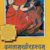 Bagalamukhi Rahasya