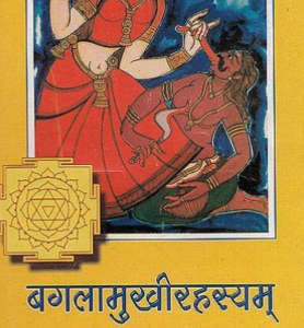 Bagalamukhi Rahasya