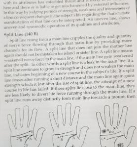 Principles of Palmistry 6