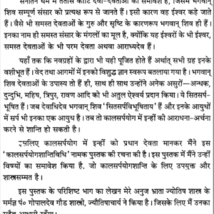 Kala Sarp Yog Shanti 4