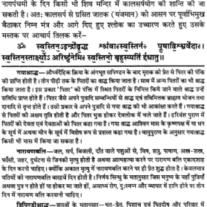 Kala Sarp Yog Shanti 7