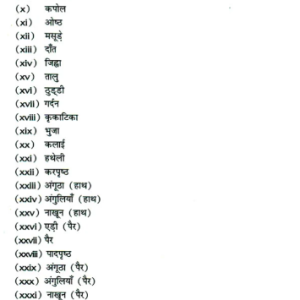 Body Parts in Jyotish 6