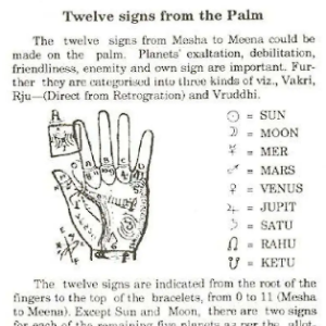 Natal chart from the palm 1