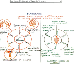 Roga-Marga The Strength of Ayurvedic Treatment 5