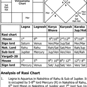 Vargas Encyclopedia of Vedic Astrology 7