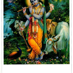 Yogis Destiny and The Wheel of Time 1