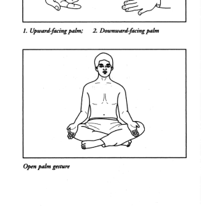 A Little Book of Body Language (STP) 6 A Little Book of Body Language 5