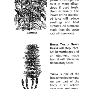 An Astrological Guide to Heal Your Self 5