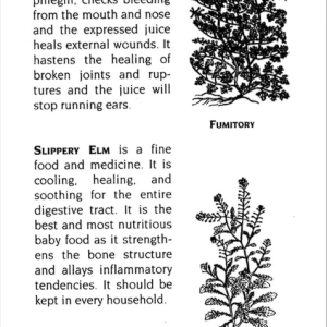 An Astrological Guide to Heal Your Self 6