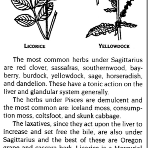 An Astrological Guide to Heal Your Self  7