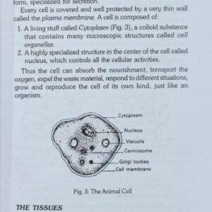 Anatomy and Physiology of Yogic Practices