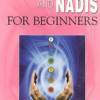 Chakras and Nadis for Beginners