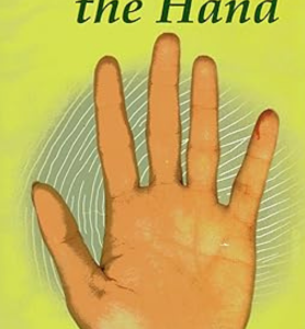 Shape Of The Hand