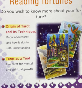 Tarot Reading Fortunes