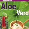 The Secret Benefits of Aloe Vera