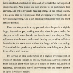 The Secret Benefits of Aloe Vera 3