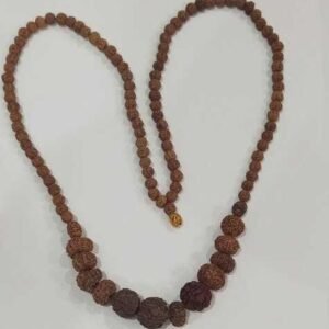 Divya Rudraksh Mala 2Mukhi to 14 Mukhi Rudraksa Beads 2