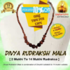 Divya Rudraksh Mala (2 Mukhi to 14 Mukhi Rudraksa Beads)