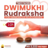 Dwimukhi Rudraksha (Two faced)
