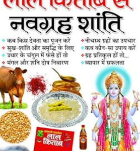Lal Kitab Se Navgrah Shanti