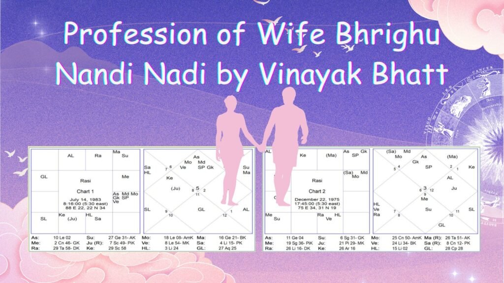 Profession of Wife Bhrighu Nandi Nadi by Vinayak Bhatt