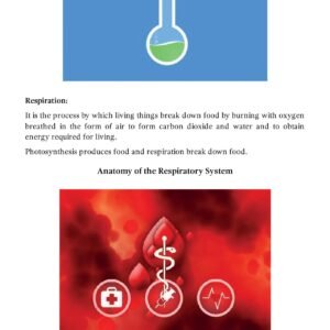 Unlock Purva Punya and Paap from the Stories of 27 Nakshatras13