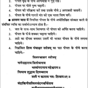 Vriksha Raj Pipal (NDP) 4 Vriksha Raj Pipal 4