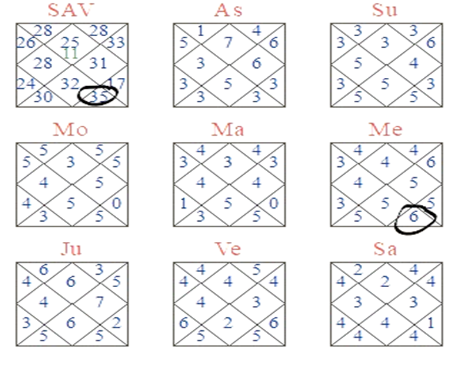 Astakvarga Chart 8