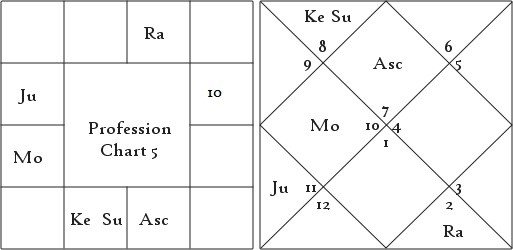 Profession as Per Nadi Discussion 5