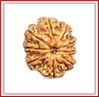 Rudraksha and Its Real Truth by Alok Jagawat 18 Gender of Horoscope 18