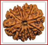 Rudraksha and Its Real Truth by Alok Jagawat 20 Gender of Horoscope 20