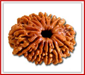 Rudraksha and Its Real Truth by Alok Jagawat 22 Gender of Horoscope 22