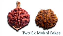 Rudraksha and Its Real Truth by Alok Jagawat 33 Gender of Horoscope 33