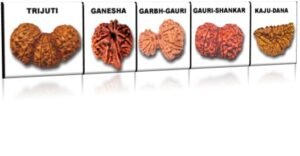 Rudraksha and Its Real Truth by Alok Jagawat 34 Gender of Horoscope 34