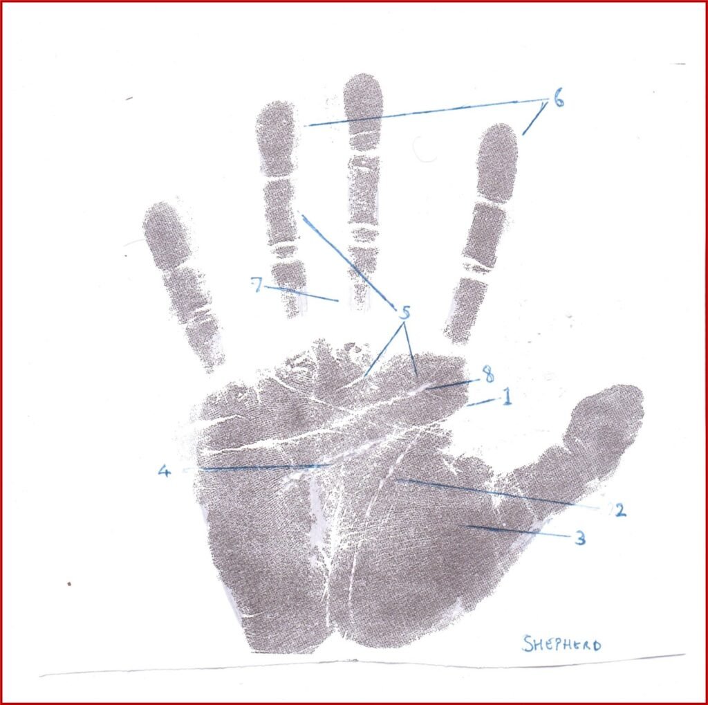 Imran Khan The Shepherd Palmprint Courtesy of Prof. M.A. Malik