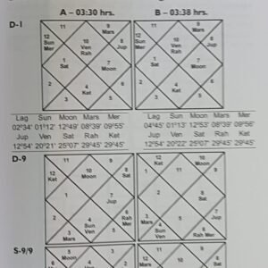 Interpreting Divisional Chart4