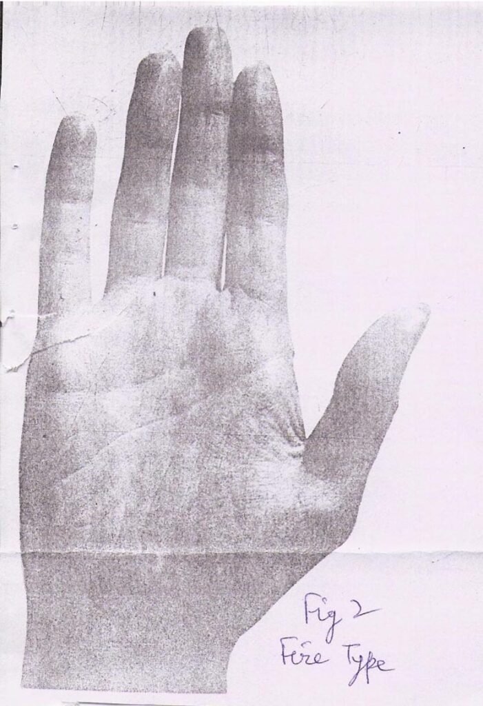 Personality Types And Shape of The Hand 2