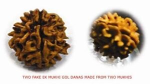 Rudraksha and Its Real Truth by Alok Jagawat 32 Rudraksha and Its Real Truth 32