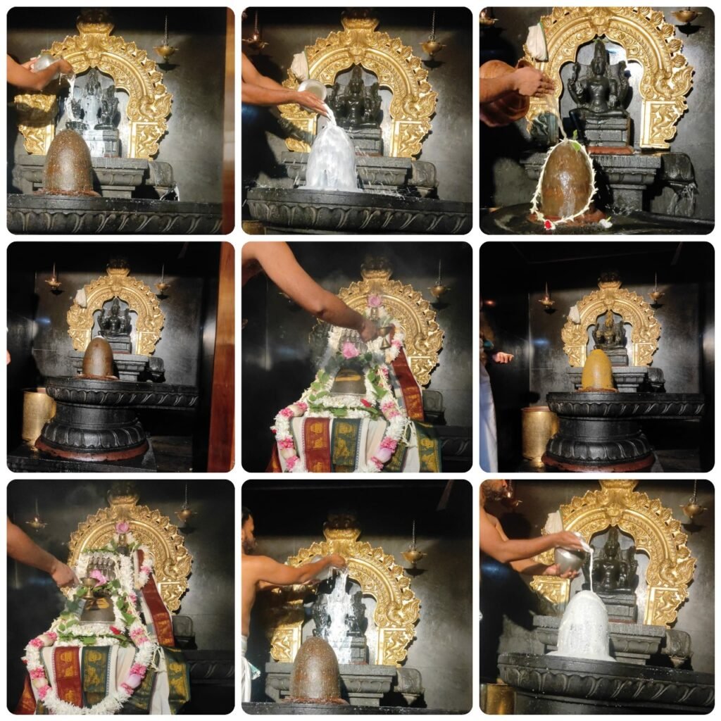 Rudraabhishek in Swami Dayananda Ashram Rishikesh 2