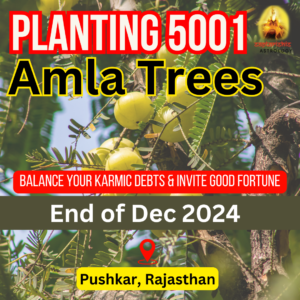 Planting 5001 Amla Trees for Spiritual Growth