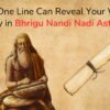 Why One Line Can Reveal Your Whole Destiny in Bhrigu Nandi Nadi Astrology