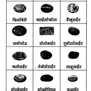 Adbhut Ratna and Rudraksha (PP) 7 Adbhut Ratna and Rudraksha