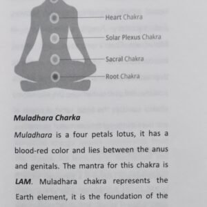 Astrology Chakras And Remedies