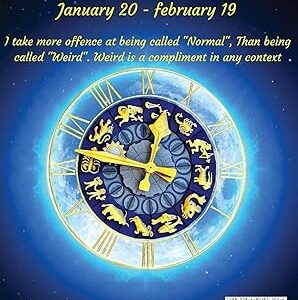 Aquarius Zodiac Coloring & Activity Book: Horoscope Activity Book